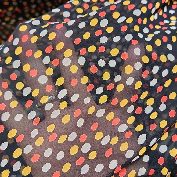 Pleione - Picture 7 of 8